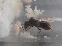 20250915_134514.jpg