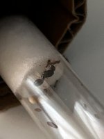 IMG_1290.jpeg