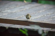 DSC_0122.jpg