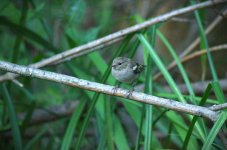 DSC_0149.jpg