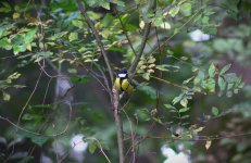 DSC_0134.jpg