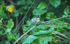 DSC_0141.jpg
