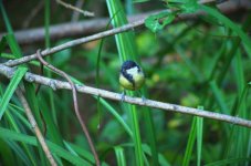 DSC_0147.jpg