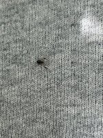 IMG_1615.jpeg