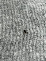 IMG_1618.jpeg