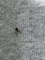 IMG_1617.jpeg