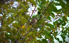 1758368634311.jpeg 1758368634311.jpeg