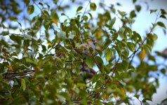 1758368771146.jpeg 1758368771146.jpeg