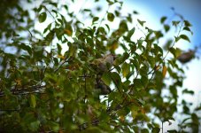 1758368820847.jpeg 1758368820847.jpeg