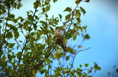 1758368846555.jpeg 1758368846555.jpeg