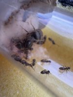 IMG_2497.jpeg IMG_2497.jpeg