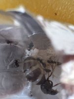 IMG_2491.jpeg IMG_2491.jpeg