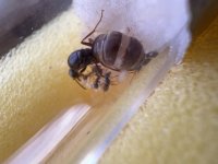 IMG_2501.jpeg IMG_2501.jpeg