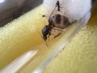 IMG_2499.jpeg IMG_2499.jpeg