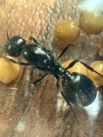 WhatsApp Görsel 2025-09-21 saat 12.54.05_bf957597.jpg