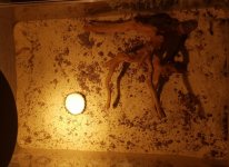 WhatsApp Görsel 2025-09-21 saat 12.49.15_6025b8f2.jpg