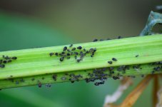 DSC_0266.JPG DSC_0266.JPG