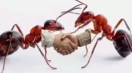 1753826628939.png