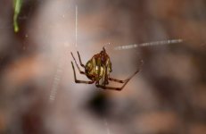 DSC_0330.JPG DSC_0330.JPG