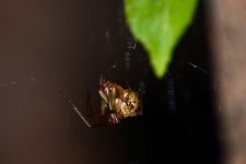 DSC_0331.JPG DSC_0331.JPG