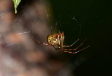 DSC_0340.JPG DSC_0340.JPG