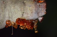 DSC_0327.JPG DSC_0327.JPG