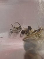 IMG_3954.jpeg