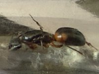 IMG_6641.jpeg