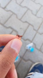 1000055506.jpg