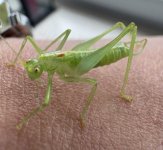 IMG_2366.jpeg