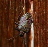 1758817848653.jpeg 1758817848653.jpeg