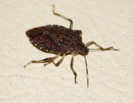 1758817876314.jpeg 1758817876314.jpeg