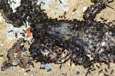 DSC_0418.JPG DSC_0418.JPG