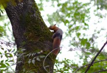 DSC_0397.JPG DSC_0397.JPG