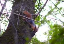 1758818900096.jpeg 1758818900096.jpeg