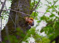 DSC_0386.JPG DSC_0386.JPG