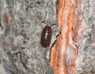 DSC_0344.JPG DSC_0344.JPG