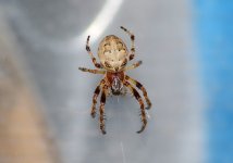 DSC_0360.JPG DSC_0360.JPG