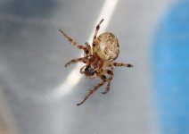 DSC_0361.JPG DSC_0361.JPG