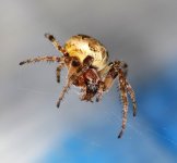 DSC_0366.JPG DSC_0366.JPG