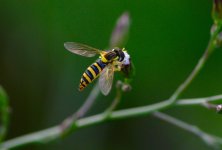 DSC_0405.JPG DSC_0405.JPG