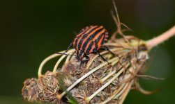 DSC_0413.JPG DSC_0413.JPG