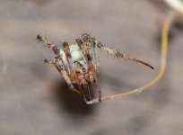 DSC_0425.JPG DSC_0425.JPG