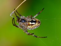 DSC_0431.JPG DSC_0431.JPG