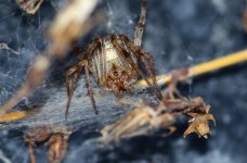 DSC_0436.JPG DSC_0436.JPG