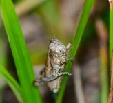 DSC_0600.JPG DSC_0600.JPG