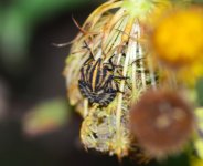 DSC_0610.JPG DSC_0610.JPG