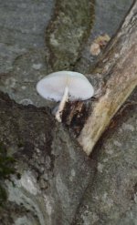 DSC_0469.JPG DSC_0469.JPG