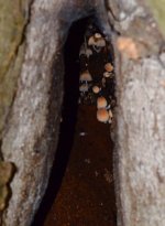 DSC_0474.JPG DSC_0474.JPG