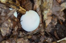 DSC_0476.JPG DSC_0476.JPG